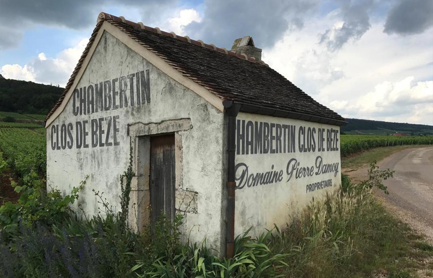 Weinberghäuschen mit der Aufschrift ‘Chambertin Clos de Bèze – Domaine Pierre Damoy’ inmitten der Weinberge im Burgund.